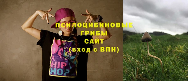 mdpv Гусев