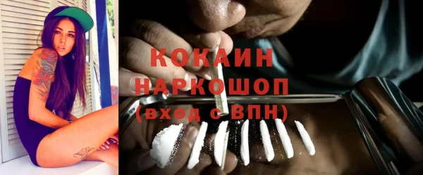 трава Гусиноозёрск