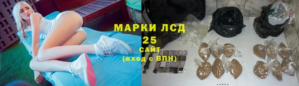 mdpv Гусев