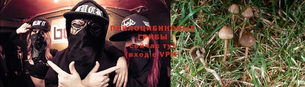 трава Гусиноозёрск
