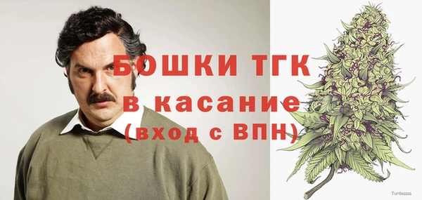 трава Гусиноозёрск