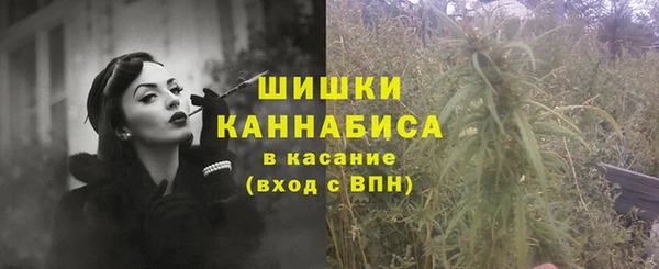 трава Гусиноозёрск