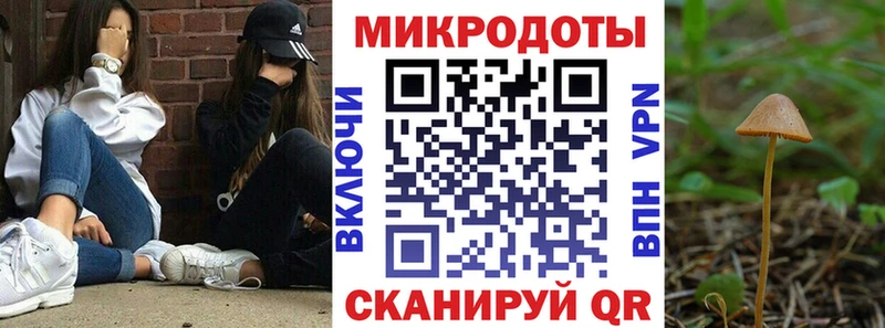 Галлюциногенные грибы прущие грибы  Старый Оскол 